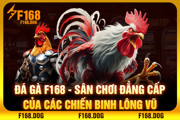 Đá Gà F168 - Sân Chơi Đẳng Cấp Của Các Chiến Binh Lông Vũ