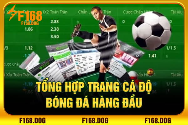 Tổng hợp trang cá độ bóng đá hàng đầu