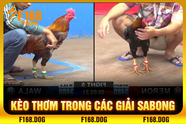 Kèo thơm trong các giải Sabong
